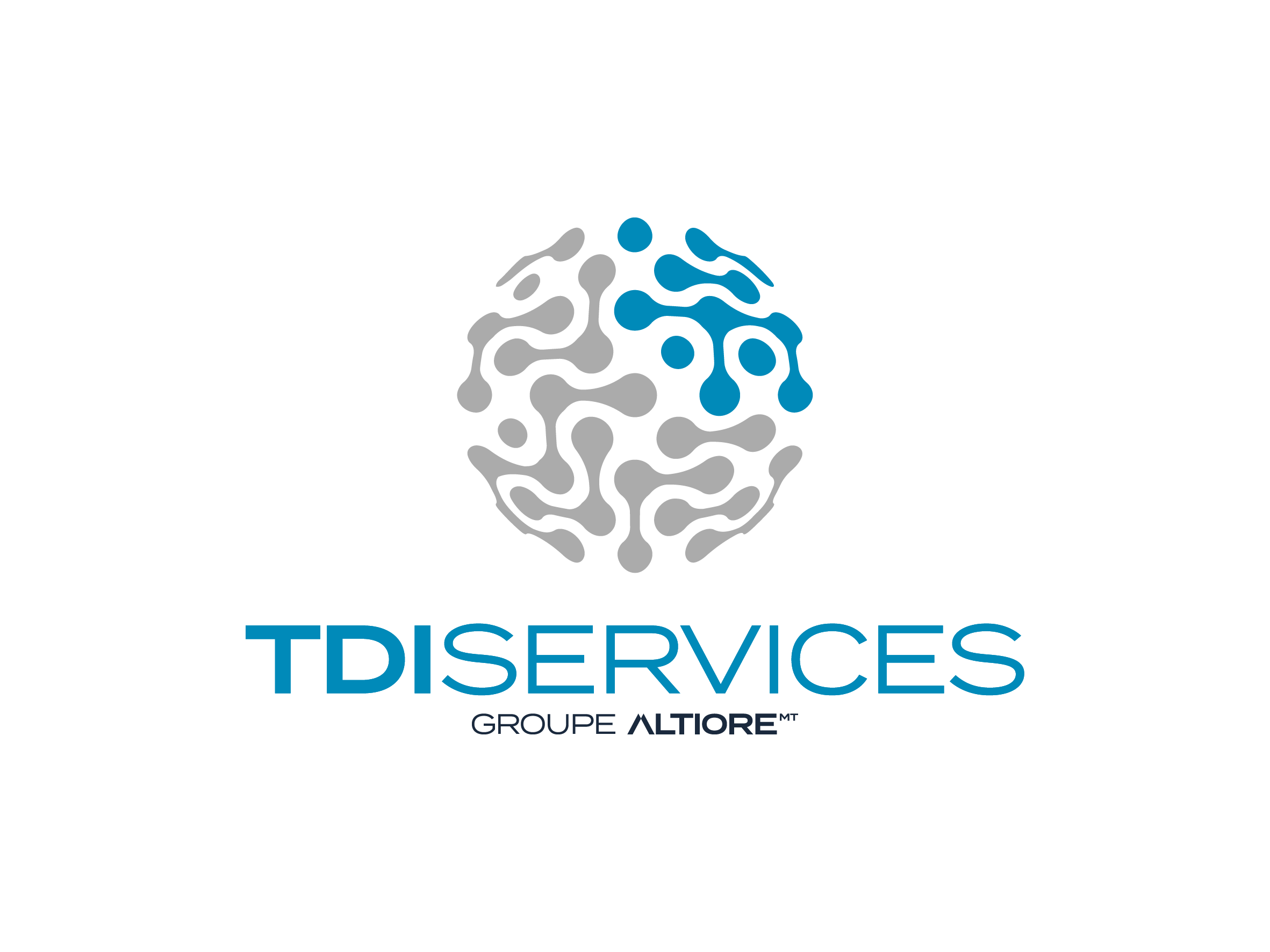 Logo TDI SERVICES